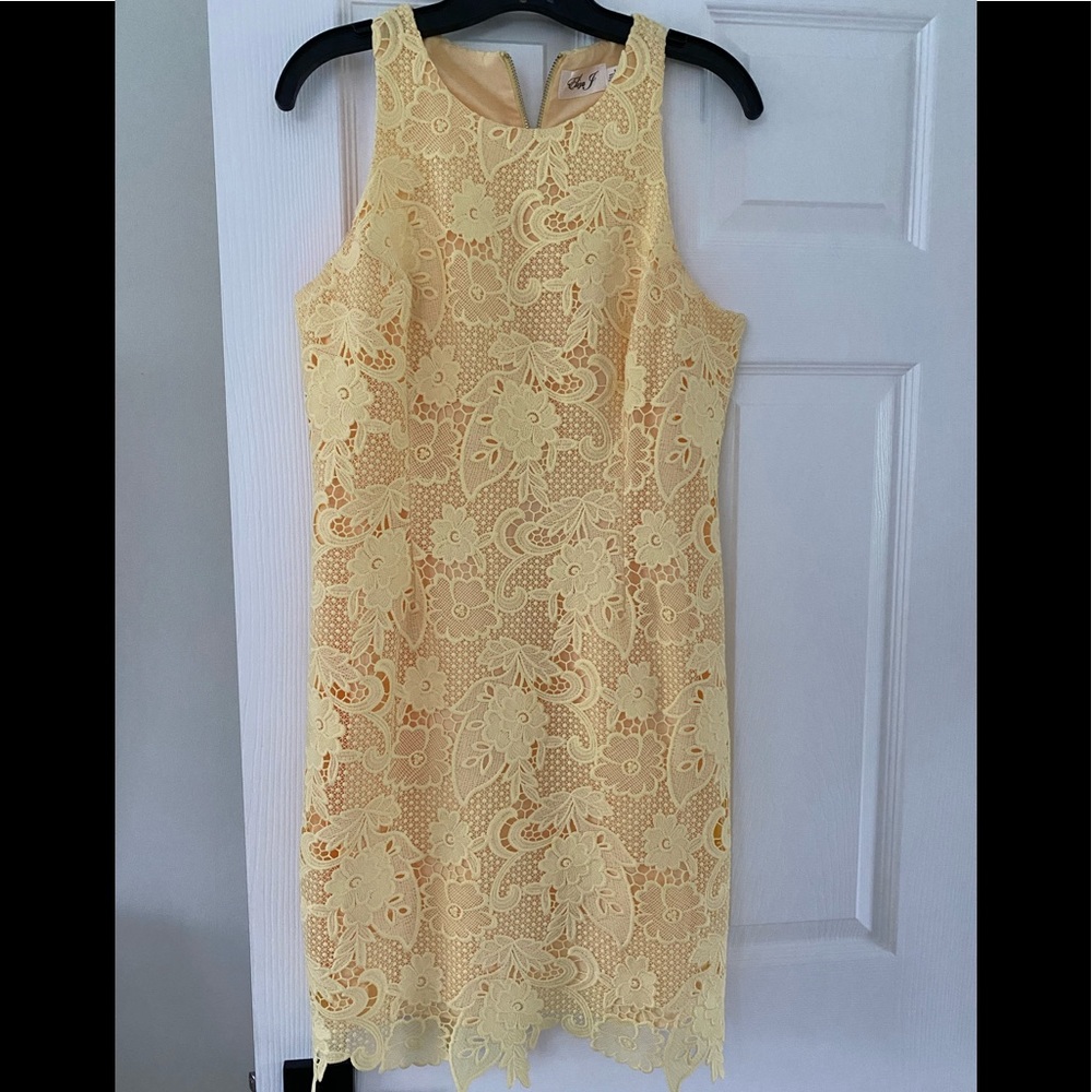 Embroidered Lace shift dress